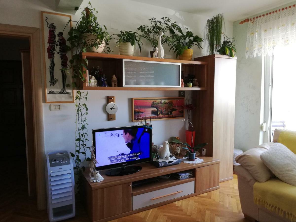 Cuore Di Umago 外观 照片